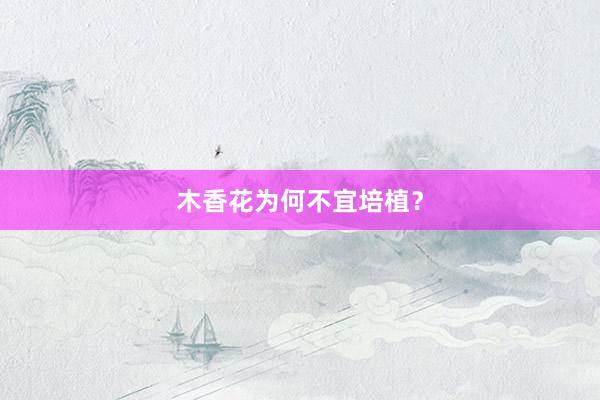 木香花为何不宜培植？