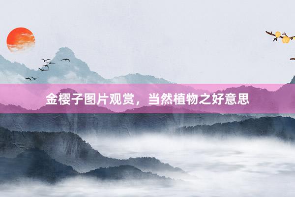 金樱子图片观赏，当然植物之好意思